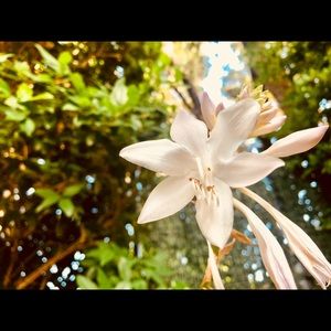 Meet your Posher, Ella